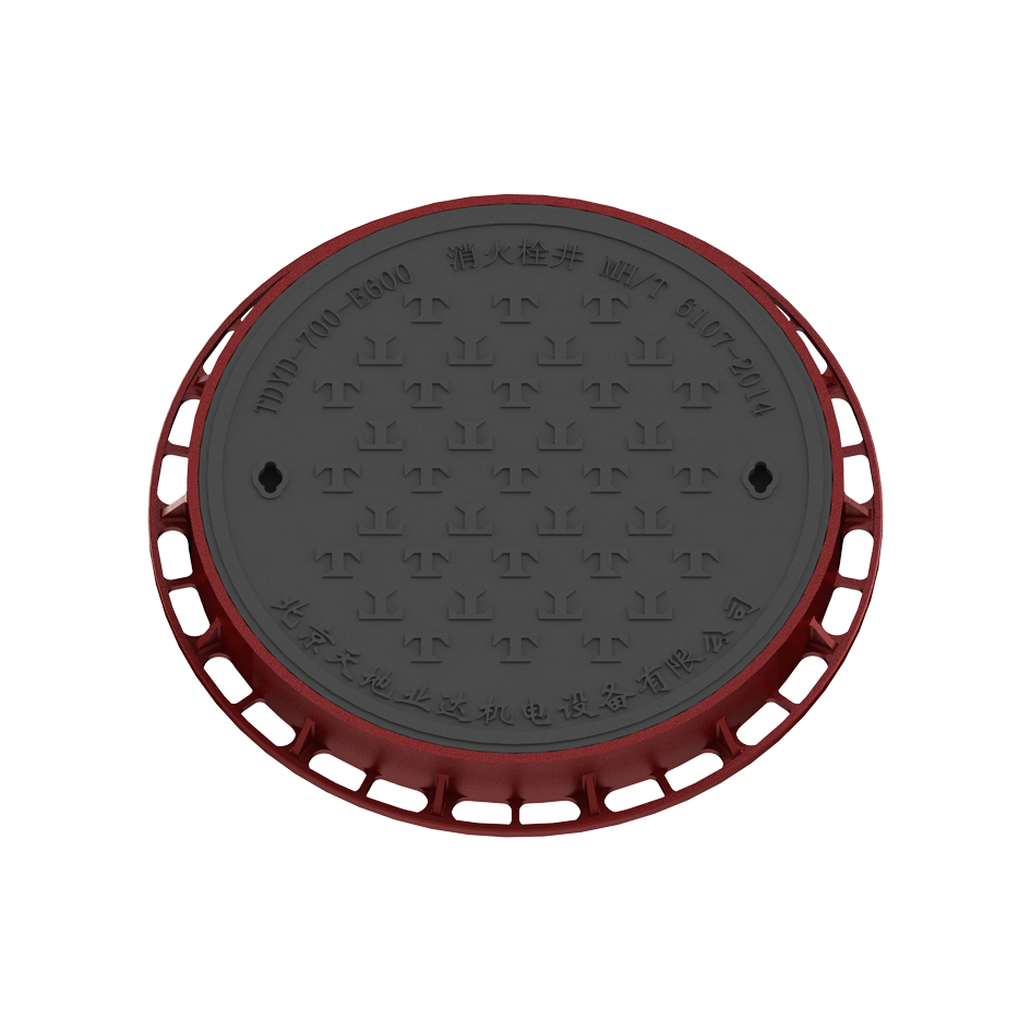 TDYD 700-E600 鑄鐵